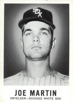 Joe Martin