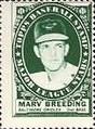 Marv Breeding