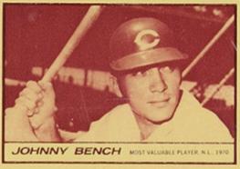 Johnny Bench