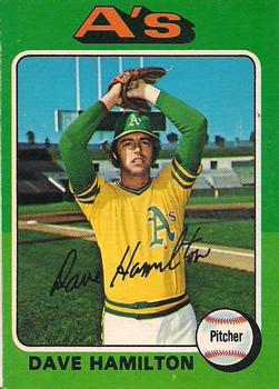 Dave Hamilton