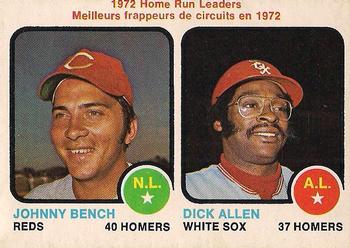 Home Run Leaders - Johnny Bench / Dick Allen